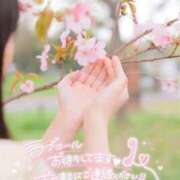 ヒメ日記 2026/04/03 10:06 投稿 ぷりん 熟女の風俗最終章 蒲田店