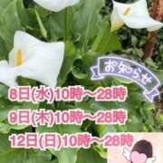 ヒメ日記 2026/04/07 12:07 投稿 ぷりん 熟女の風俗最終章 蒲田店