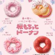 ヒメ日記 2026/03/17 16:35 投稿 ひより ふぁーすと・きす