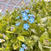 ヒメ日記 2026/03/28 18:02 投稿 沙友梨（さゆり） 女々艶 大和店