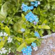 ヒメ日記 2026/04/09 19:22 投稿 沙友梨（さゆり） 女々艶 大和店