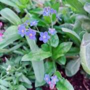 ヒメ日記 2026/04/28 17:30 投稿 沙友梨（さゆり） 女々艶 大和店