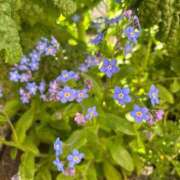 ヒメ日記 2026/07/04 07:51 投稿 沙友梨（さゆり） 女々艶 大和店