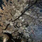 ヒメ日記 2026/04/01 22:45 投稿 かほ 池袋デリヘル倶楽部