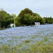 ヒメ日記 2026/05/13 19:05 投稿 かほ 池袋デリヘル倶楽部