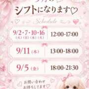 ヒメ日記 2026/08/31 10:45 投稿 かほ 池袋デリヘル倶楽部