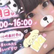 ヒメ日記 2026/09/10 22:15 投稿 かほ 池袋デリヘル倶楽部