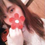 ヒメ日記 2026/03/15 13:00 投稿 うた トマトなび