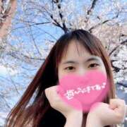 ヒメ日記 2026/04/02 17:31 投稿 うた トマトなび