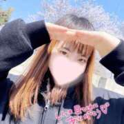 うた 桜の季節にお散歩したの🌸 トマトなび