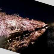 ヒメ日記 2026/03/31 20:21 投稿 らいら 艶熟妻 京都店