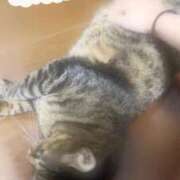 ヒメ日記 2026/06/27 20:18 投稿 せりは 京都出張メンズエステChou Chou（シュシュ)