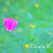 ヒメ日記 2026/04/15 00:00 投稿 新人 真央(まお) エッチな熟女(広島)