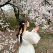 ヒメ日記 2026/04/01 21:58 投稿 アリス 聖女(マリア)