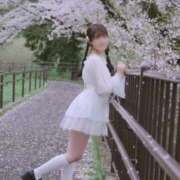 ヒメ日記 2026/04/07 14:08 投稿 アリス 聖女(マリア)