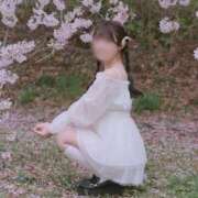 ヒメ日記 2026/04/11 10:38 投稿 アリス 聖女(マリア)