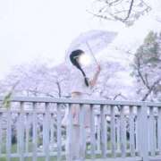 ヒメ日記 2026/05/08 21:45 投稿 アリス 聖女(マリア)