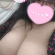 ヒメ日記 2026/03/17 12:49 投稿 はる ちゃんこ本厚木店