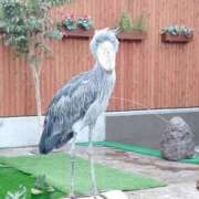 ヒメ日記 2026/03/29 16:17 投稿 みさと 沼津人妻花壇