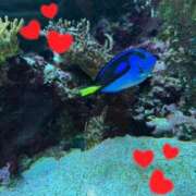 ヒメ日記 2026/03/21 22:19 投稿 みる プレミアム(福原)