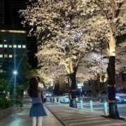 ヒメ日記 2026/03/11 19:12 投稿 りあ★SSS級女子アナの卵★ 渋谷S級素人清楚系デリヘル chloe