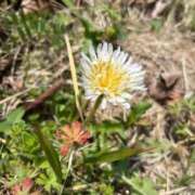 ヒメ日記 2026/04/04 19:18 投稿 はる わちゃわちゃ密着リアルフルーちゅ西船橋