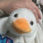 ヒメ日記 2026/04/12 20:04 投稿 まな 熟女の風俗最終章 仙台店