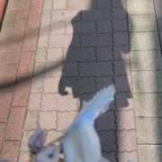 ヒメ日記 2026/04/03 17:05 投稿 せい【極クビレF乳清楚美少女】 STELLA TOKYO－ステラトウキョウ－