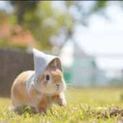 ヒメ日記 2026/04/07 22:48 投稿 せい【極クビレF乳清楚美少女】 STELLA TOKYO－ステラトウキョウ－