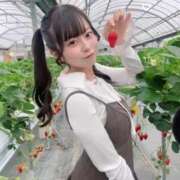 ヒメ日記 2026/04/26 12:03 投稿 うさぎ Gossip girl