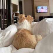 ヒメ日記 2026/03/09 15:35 投稿 らん バニラシュガー久喜店