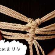 ヒメ日記 2026/03/13 14:21 投稿 まりな CCキャッツ