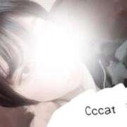 ヒメ日記 2026/03/13 16:22 投稿 まりな CCキャッツ