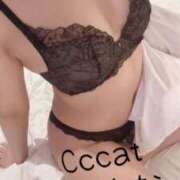 ヒメ日記 2026/03/17 18:22 投稿 まりな CCキャッツ