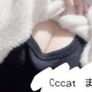 ヒメ日記 2026/03/23 15:22 投稿 まりな CCキャッツ