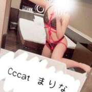 ヒメ日記 2026/03/29 18:22 投稿 まりな CCキャッツ