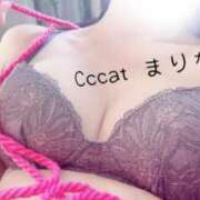 ヒメ日記 2026/04/04 19:21 投稿 まりな CCキャッツ