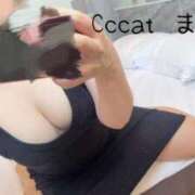 ヒメ日記 2026/04/08 12:22 投稿 まりな CCキャッツ