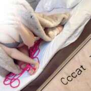 ヒメ日記 2026/04/13 12:22 投稿 まりな CCキャッツ