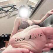 ヒメ日記 2026/04/22 13:21 投稿 まりな CCキャッツ