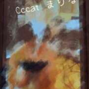 ヒメ日記 2026/05/03 16:42 投稿 まりな CCキャッツ