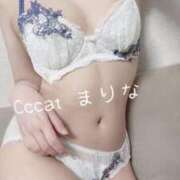 ヒメ日記 2026/05/11 12:22 投稿 まりな CCキャッツ