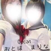ヒメ日記 2026/05/11 13:42 投稿 まりな CCキャッツ