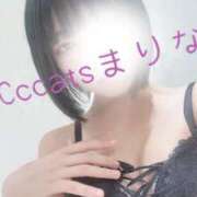 ヒメ日記 2026/07/05 15:42 投稿 まりな CCキャッツ
