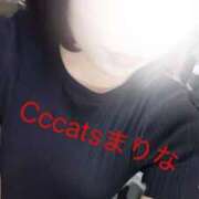 ヒメ日記 2026/08/07 16:43 投稿 まりな CCキャッツ