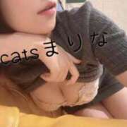 ヒメ日記 2026/08/29 12:03 投稿 まりな CCキャッツ