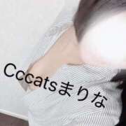 ヒメ日記 2026/08/31 18:22 投稿 まりな CCキャッツ