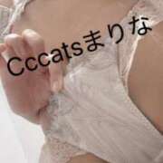 ヒメ日記 2026/09/07 19:22 投稿 まりな CCキャッツ