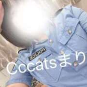 ヒメ日記 2026/10/08 17:03 投稿 まりな CCキャッツ