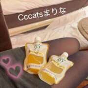 ヒメ日記 2026/10/24 16:42 投稿 まりな CCキャッツ